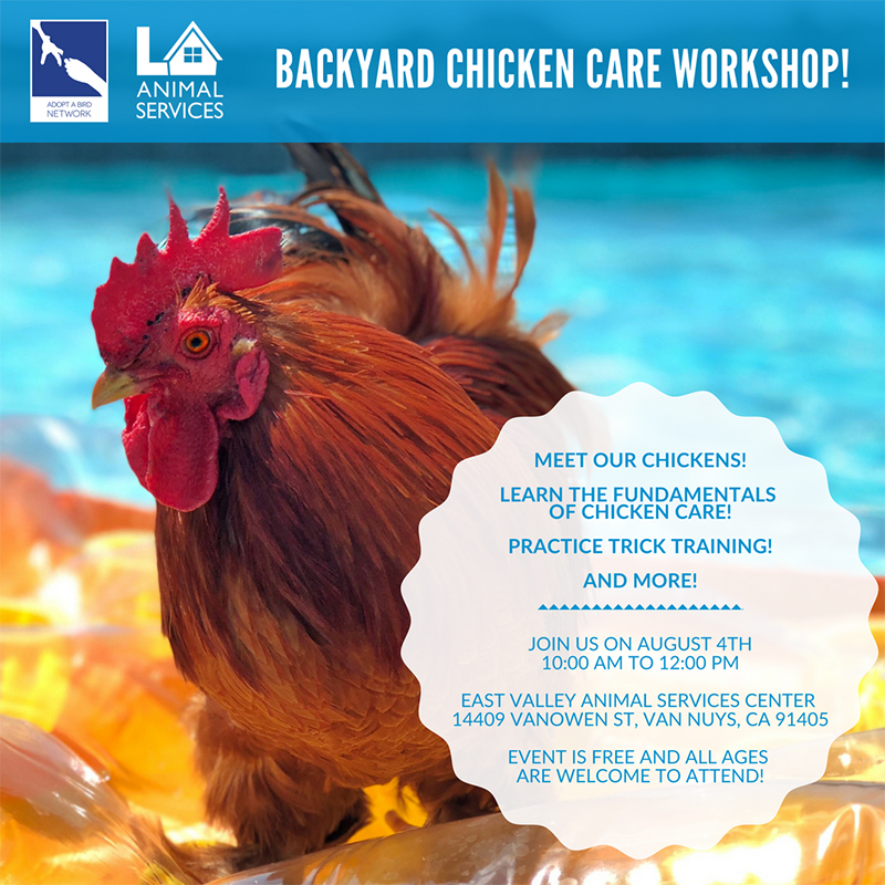 Backyard Chicken Care Workshop image preview