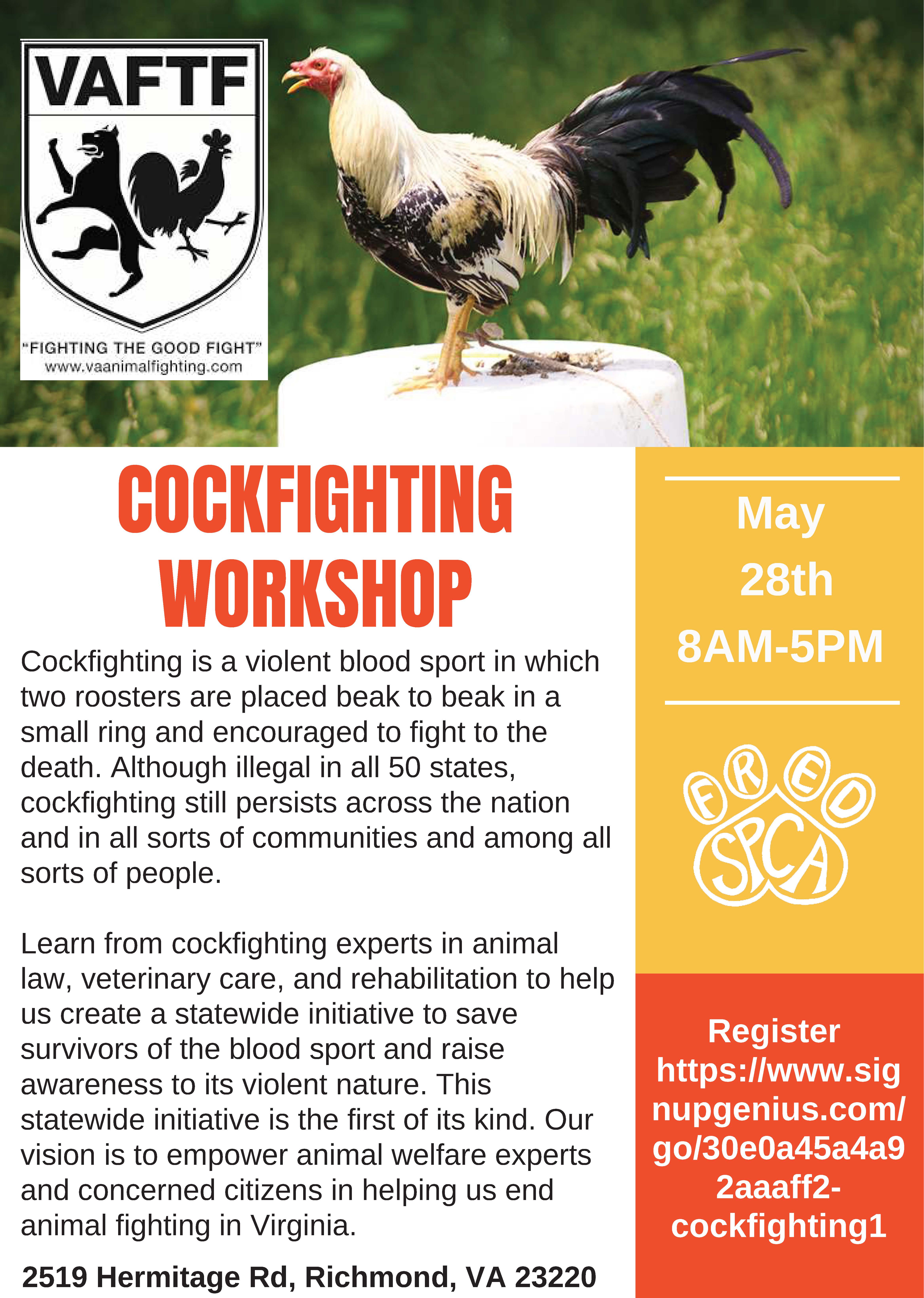 Cockfighting Workshop image preview